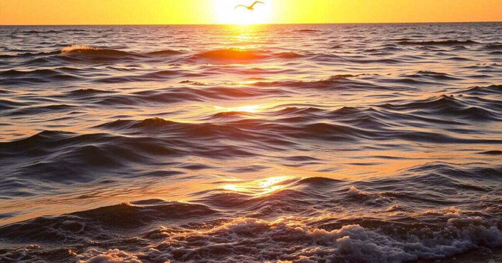 40. The sea is a playground for the sun.